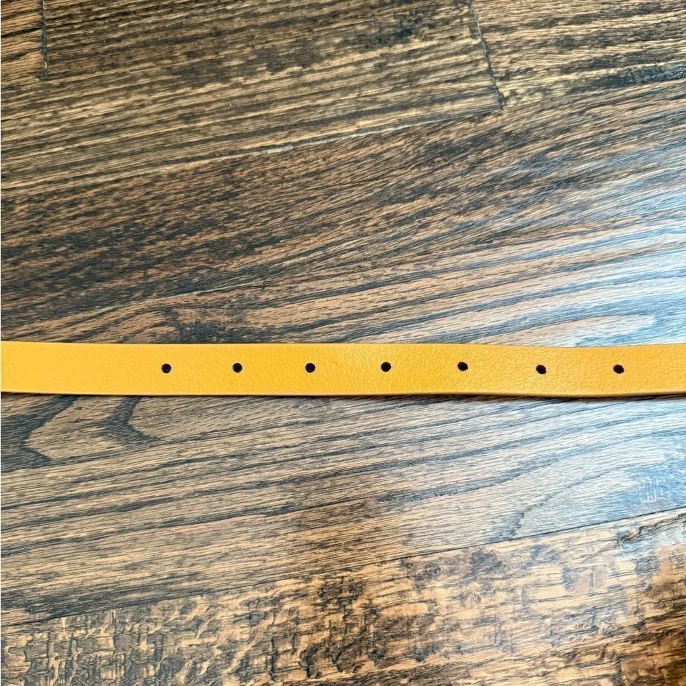NWT Frame CARAMEL LE PETIT OVAL CHAIN BELT